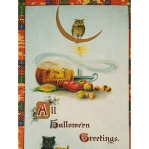 Halloween Postcard Winsch Back Owl Seated On Crescent Moon 2399 Gottschalk 1911